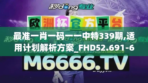 最准一肖一码一一中特339期,适用计划解析方案_FHD52.691-6