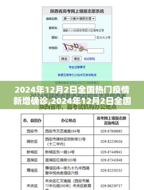 2024年12月2日全国疫情新增确诊分析与趋势报告