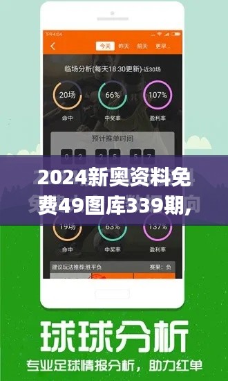 2024新奥资料免费49图库339期,精细方案实施_动态版91.175-9