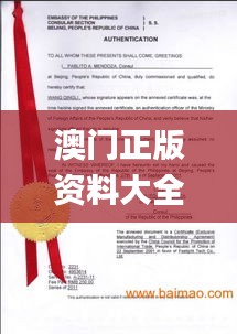 澳门正版资料大全免费歇后语,实地验证方案_pro22.117-6