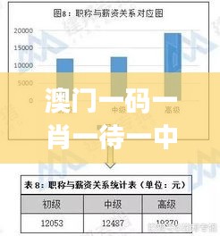 澳门一码一肖一待一中四不像,数据整合设计解析_OP96.879-2