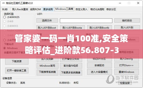 管家婆一码一肖100准,安全策略评估_进阶款56.807-3