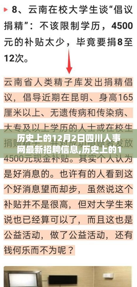 历史上的12月2日四川人事网招聘最新信息概览