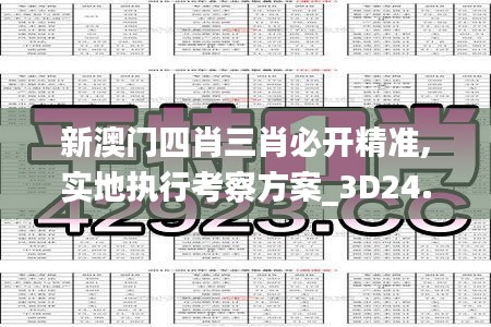 新澳门四肖三肖必开精准,实地执行考察方案_3D24.393-1