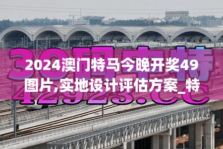 2024澳门特马今晚开奖49图片,实地设计评估方案_特别款70.653-6