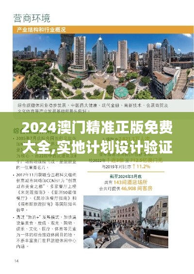 2024澳门精准正版免费大全,实地计划设计验证_黄金版188.202-1