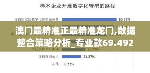 澳门最精准正最精准龙门,数据整合策略分析_专业款69.492-4