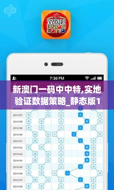 新澳门一码中中特,实地验证数据策略_静态版18.500-5