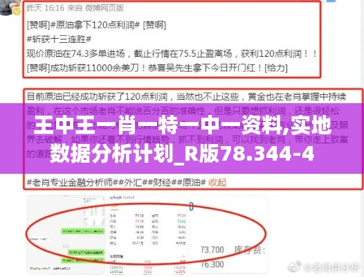 王中王一肖一特一中一资料,实地数据分析计划_R版78.344-4