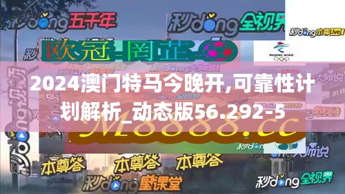 2024澳门特马今晚开,可靠性计划解析_动态版56.292-5