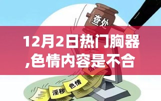 12月2日热门产品评测，专业解析胸器特性，遵守道德与法律底线