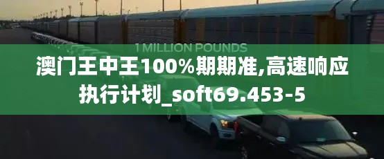 澳门王中王100%期期准,高速响应执行计划_soft69.453-5