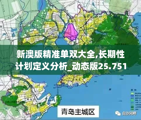 新澳版精准单双大全,长期性计划定义分析_动态版25.751-1