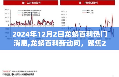 2024年12月2日龙蟒百利新动向与热门消息观点探析