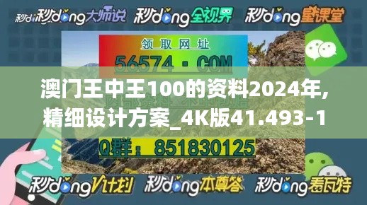 澳门王中王100的资料2024年,精细设计方案_4K版41.493-1