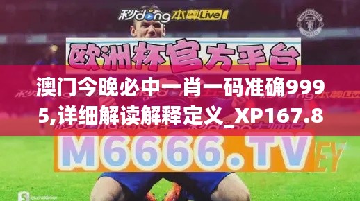 澳门今晚必中一肖一码准确9995,详细解读解释定义_XP167.882-9