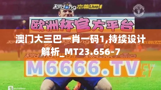 澳门大三巴一肖一码1,持续设计解析_MT23.656-7