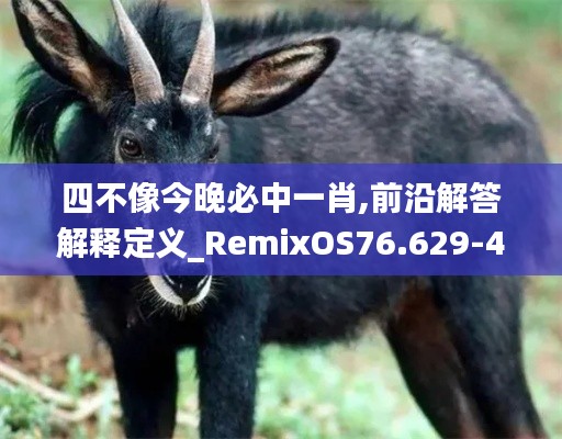 四不像今晚必中一肖,前沿解答解释定义_RemixOS76.629-4