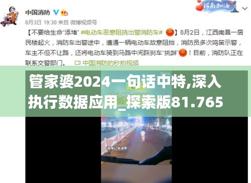 管家婆2024一句话中特,深入执行数据应用_探索版81.765-6