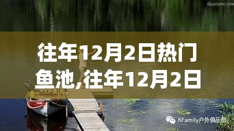 往年12月2日热门鱼池，垂钓盛宴的多角度解读