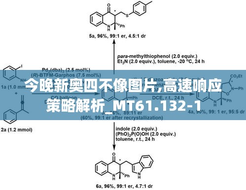 今晚新奥四不像图片,高速响应策略解析_MT61.132-1