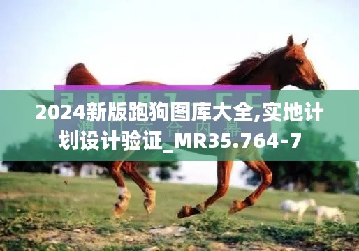 2024新版跑狗图库大全,实地计划设计验证_MR35.764-7