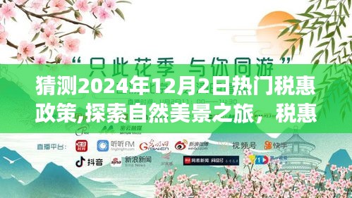 2024年税惠政策展望与自然美景探索，心灵宁静之旅猜想