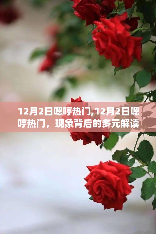 揭秘，热门事件背后的多元解读——以12月2日嗯哼为例