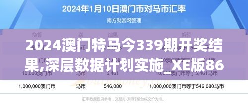 2024澳门特马今339期开奖结果,深层数据计划实施_XE版86.794-3