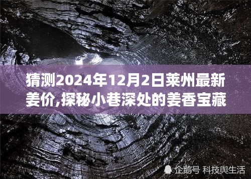 探秘小巷深处的姜香宝藏，预测莱州姜价新动向至2024年12月2日分析