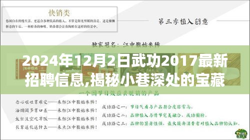 揭秘武功特色小店，最新招聘信息与小巷深处的宝藏探秘（2024年12月）