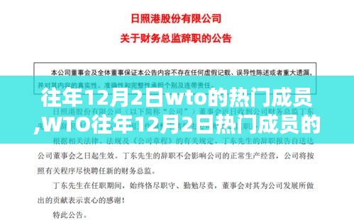 WTO热门成员的综合评测与深度介绍，聚焦往年12月2日深度洞察