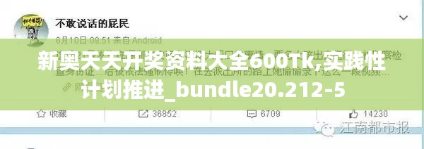 新奥天天开奖资料大全600Tk,实践性计划推进_bundle20.212-5