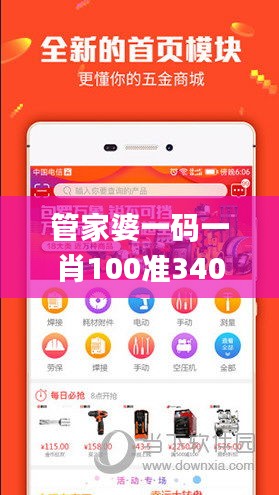 管家婆一码一肖100准340期,实时说明解析_苹果款64.523-1