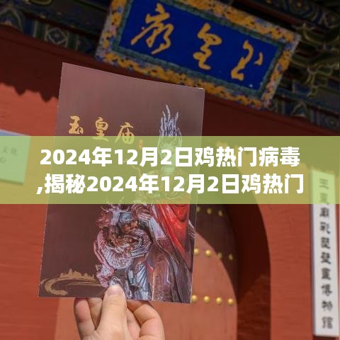 揭秘鸡热门病毒，小红书热议焦点，2024年12月2日深度解析