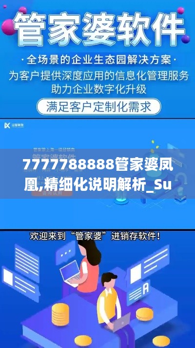 7777788888管家婆凤凰,精细化说明解析_Surface48.238-6