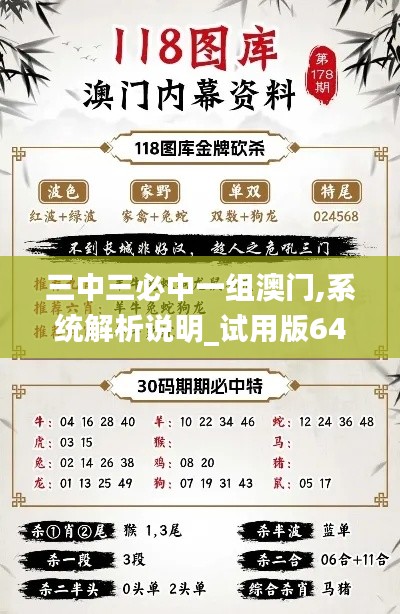 三中三必中一组澳门,系统解析说明_试用版64.258-1