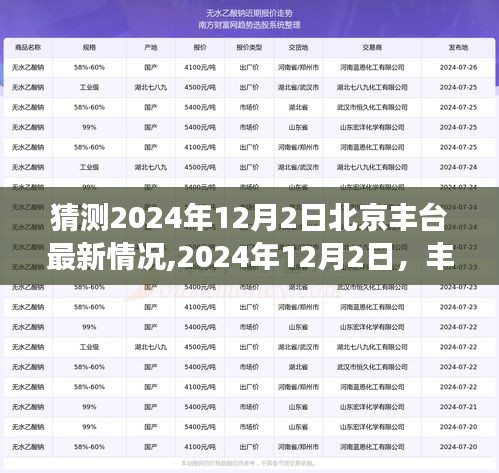 丰台暖阳下的日常小确幸，预测北京丰台2024年12月2日的最新情况