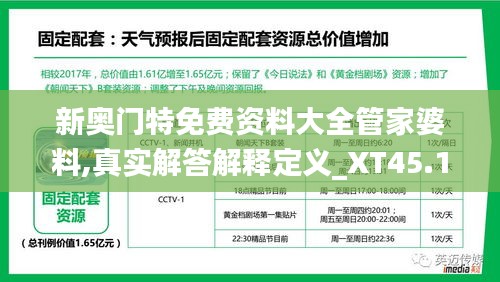 新奥门特免费资料大全管家婆料,真实解答解释定义_XT45.101-6