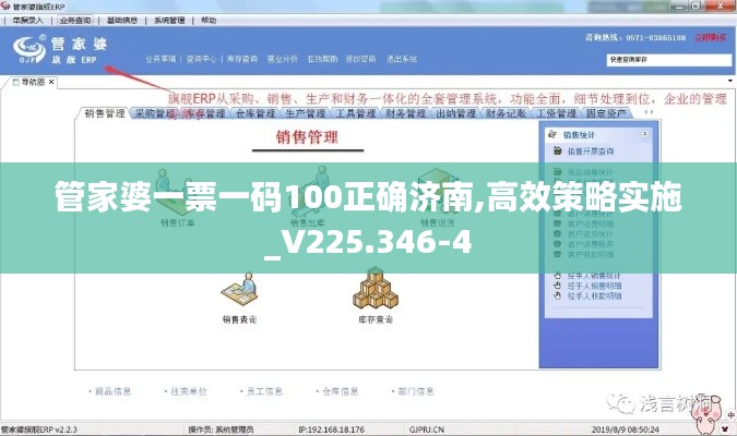 管家婆一票一码100正确济南,高效策略实施_V225.346-4