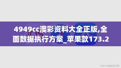 4949cc澳彩资料大全正版,全面数据执行方案_苹果款173.220