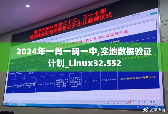 2024年一肖一码一中,实地数据验证计划_Linux32.552