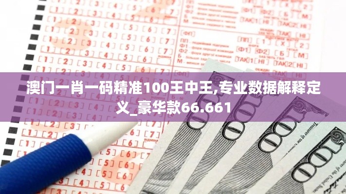 澳门一肖一码精准100王中王,专业数据解释定义_豪华款66.661