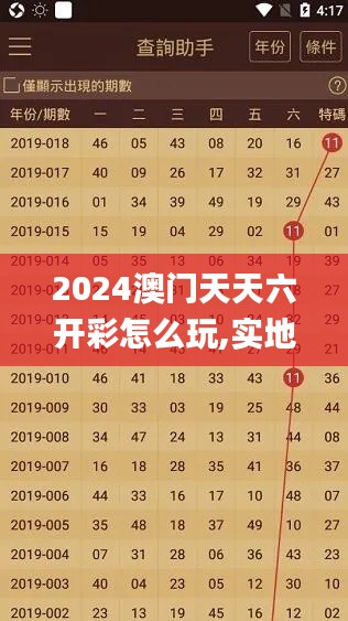 2024澳门天天六开彩怎么玩,实地评估解析说明_VIP5.347