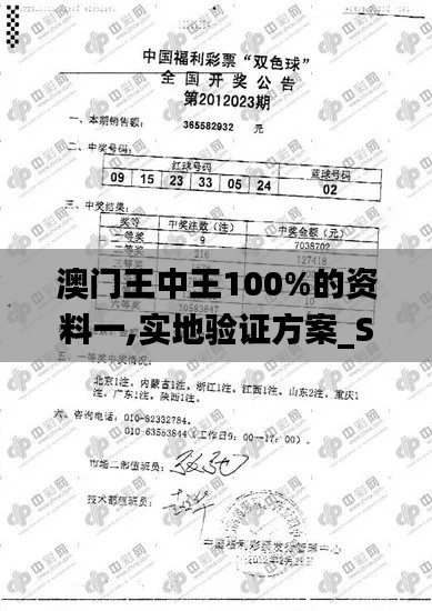 澳门王中王100%的资料一,实地验证方案_SP9.703