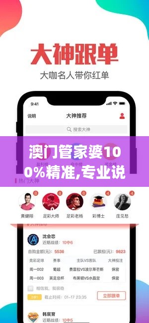 澳门管家婆100%精准,专业说明解析_黄金版99.675