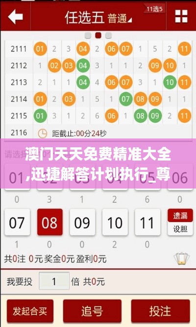 澳门天天免费精准大全,迅捷解答计划执行_尊享版71.215