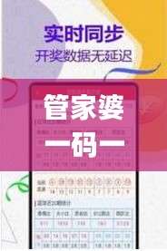 管家婆一码一肖100中奖,可靠数据评估_OP88.714