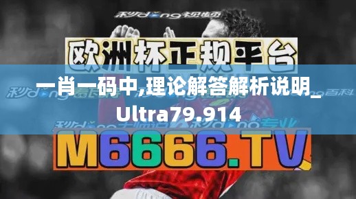 一肖一码中,理论解答解析说明_Ultra79.914