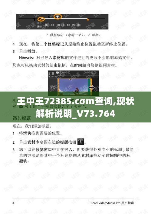 王中王72385.cσm查询,现状解析说明_V73.764